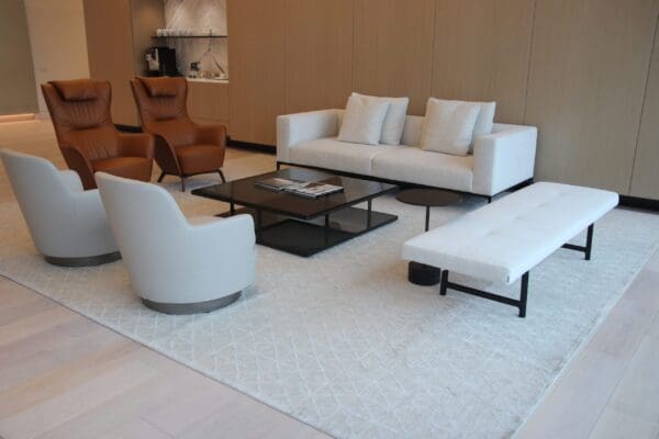 A living room with white furniture and a large rug.